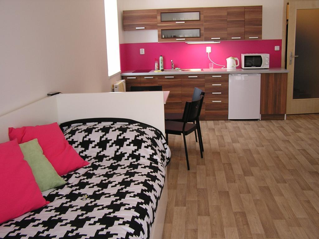 Apartment Třeboň Kamer foto